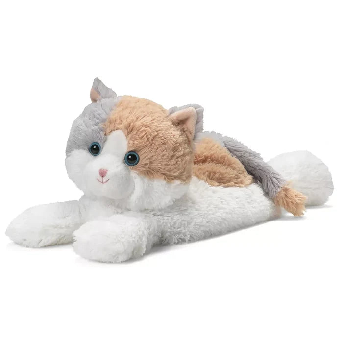 Beautiful calico cat ready to snuggle the next person