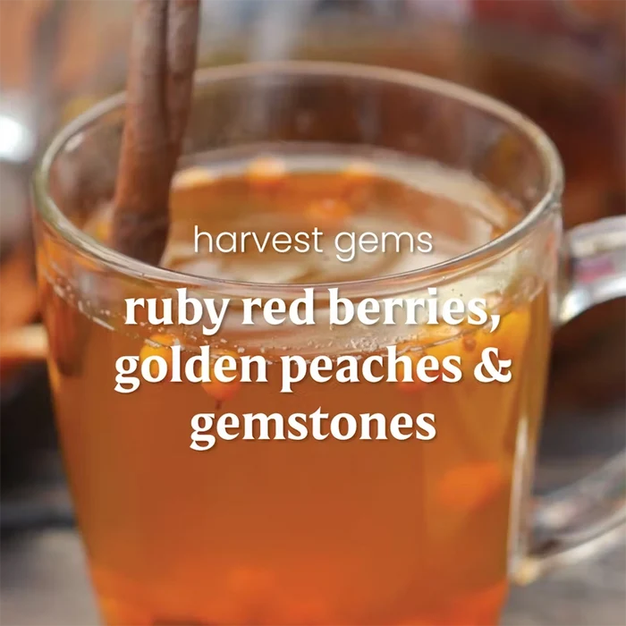 Yankee Candle : Harvest Gems - Original Jar Candle