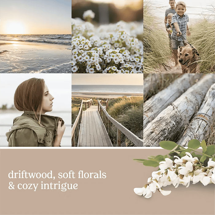Yankee Candle : ScentPlug® Refill in Seaside Woods - Yankee Candle : ScentPlug® Refill in Seaside Woods