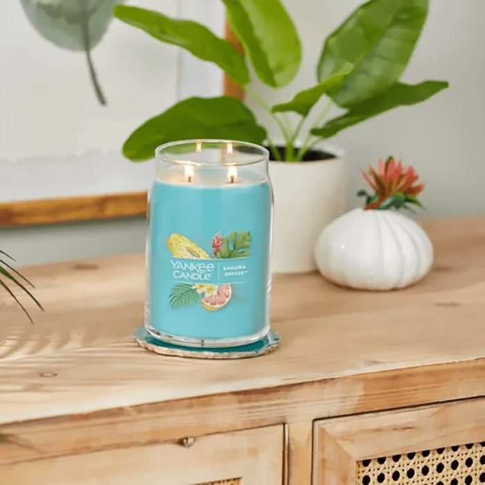 "Yankee Candle : Signature Large Jar Candle in Bahama Breeze™ -"