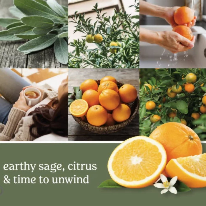 Yankee Candle : Wax Melts & Warmers - Wax Melts 6-pack - Sage & Citrus - Yankee Candle : Wax Melts & Warmers - Wax Melts 6-pack - Sage & Citrus